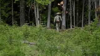 Idaho Black Bear Hunting | Pure Hunting S.3, Ep.9 "No Holds Bear'd"