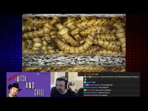 Twitch and Chill Marathon: Trivia Murder Massacre