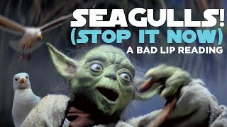 Seagulls! (Stop It Now) -- Bad Lip Reading