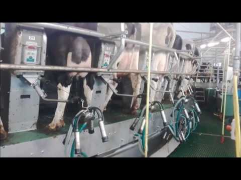 AUTOROTOR GEA FARM TECHNOLOGIES