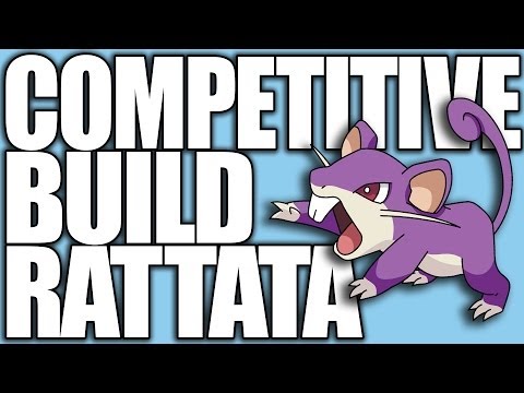 Pokemon XY: Competitive Builds 101 - Rattata