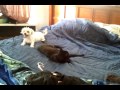 Video 2011 05 12 18 18 06