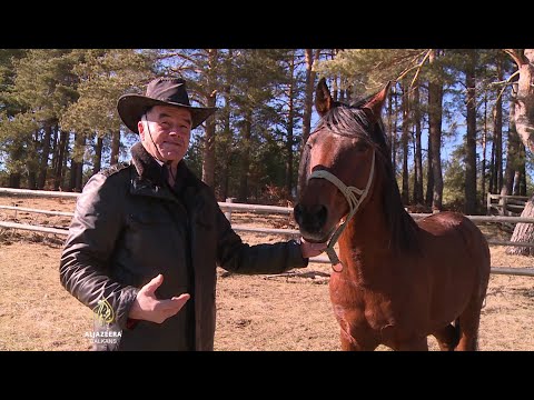 Priče iz Goražda i Rogatice: Ekonomski iskoraci i očuvanje tradicije