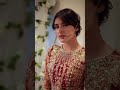 Man Mast Malang Danish Taimoor Sahar Hashmi Wedding Seen
