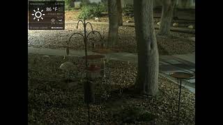 California · Axis P3245 · LVE live stream