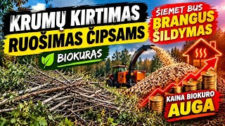 Krūmų kirtimas čipsams // Kaina auga!