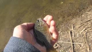 preview picture of video 'panfish fishing'