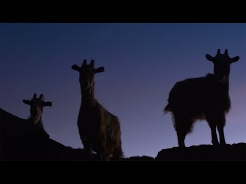 trailer