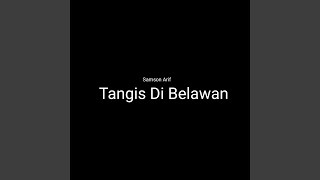 Download lagu Tangis Di Belawan mp3