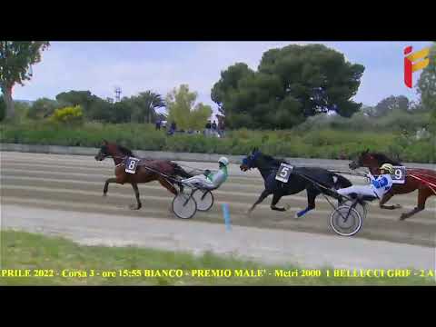 III Corsa del 30 Aprile 2022 - Cat. F/E - Metri 2000/2020