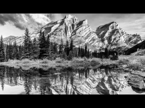 'Howl' by Andrew Burns