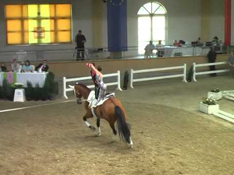 Lukas Wacha-Jasmin Lindner - CVI3* Stadl Paura 2014