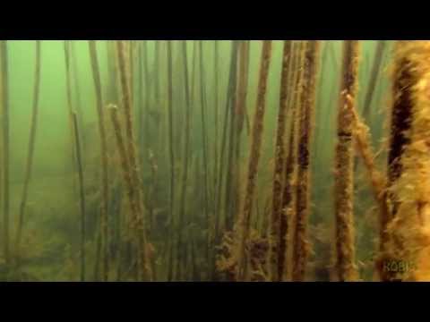 Spring in the gravel pit