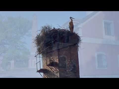 Štěkeň   Strakonice,19 6 2025