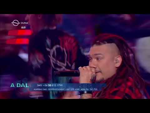 Videó előnézet