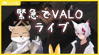 【VALO】緊急でアンレートを回しております【大会主催/VTUBER/VALORANT /ヴァロラント】