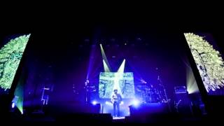 RPWL - This is Not a Prog Song (Lyric video)