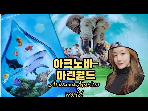 아크노바-마린월드 룰 설명 & 4인플 영상