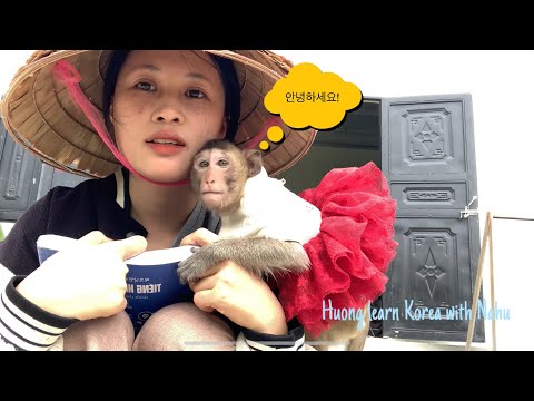 Surprised by Huong's ability to learn Korean - Nahu needs a caregiver