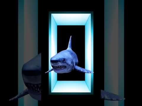 Holographic Shark in a Tank! | HoloSky | 3D Shark Experience Like Never Before