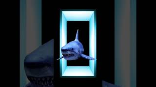 Shark hologram video - 7d hologram 7d hologram technology