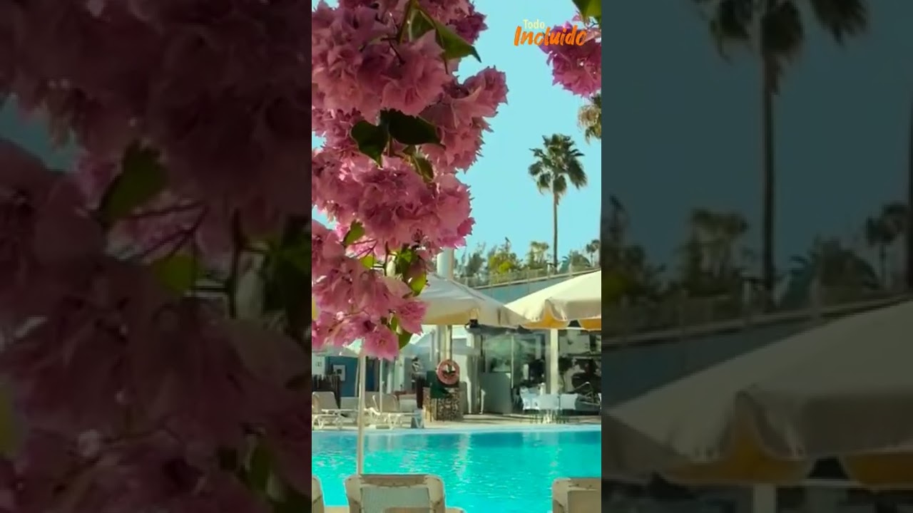 ¡OFERTA! Todo Incluido Bungalows VistaFlor Maspalomas #shorts #islascanarias #viajes