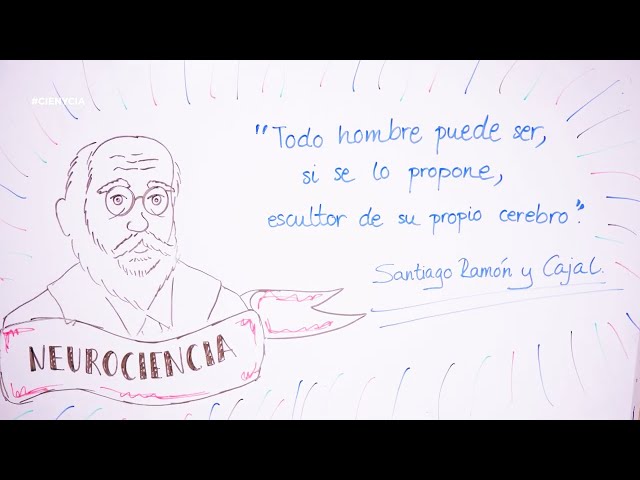 Vídeo relacionado con The Beautiful Brain: The Drawings of Santiago Ramón y Cajal
