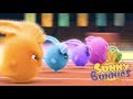 Cartoons for Children | Sunny Bunnies SUNNY BUNNIES THE BIG RACE | Funny Cartoons For Children