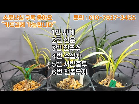유튜브 썸네일