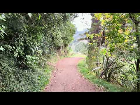 Historic Walkway virtual tour preview
