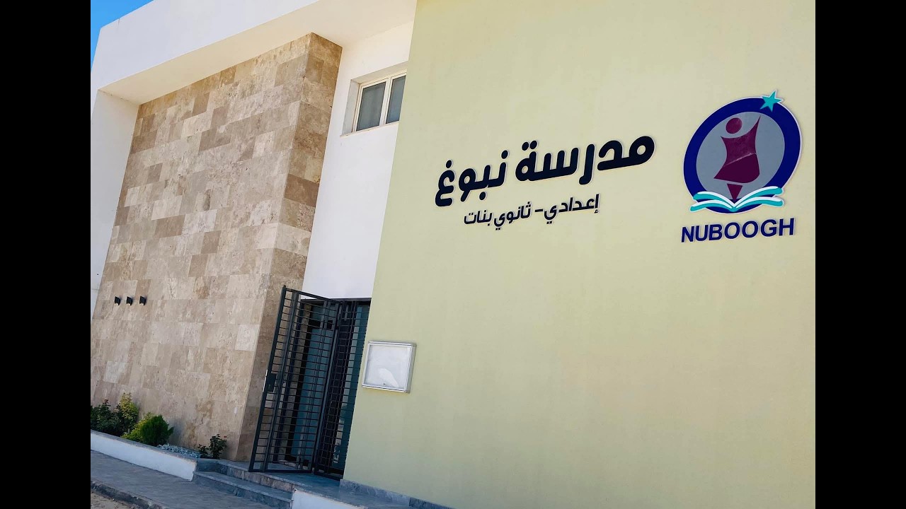 فيديو