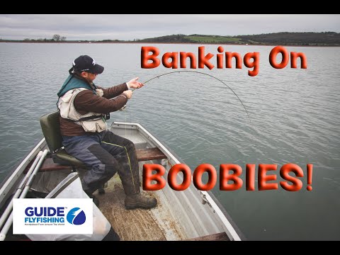 Banking On Boobies