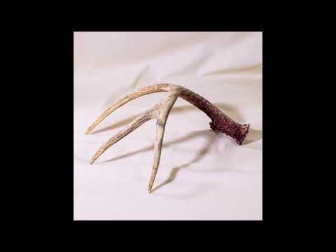 THE LONG HUNT - Natural Order [FULL ALBUM] 2025