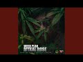 Weed Plan