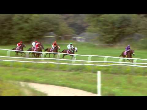 2014.09.07 Dansk Oaks - Inaya