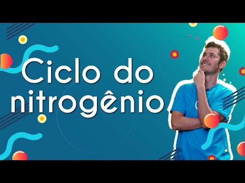 Nitrogen Cycle - Brasil Escola