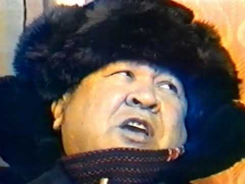 Posolok we Annam brigad