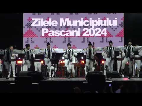 ANSAMBLUL ARTISTIC "CONSTANTIN ARVINTE"