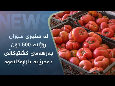 بەڤیدیۆ.. لە سنوری سۆران رۆژانە ٥٠٠ تۆن بەرھەمی کشتوکاڵی دەخرێتە بازاڕەکان