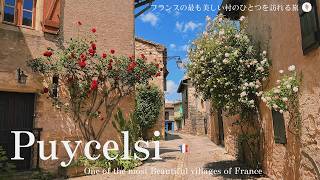 フランス南西部の田舎、春のピュイセルシを散歩 / 中世の街並み残る美しい村 / かわいい猫 / 美しい花々を楽しむ / Beautiful village in Puycelsi, France