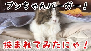 プ〜ンバ〜ガ〜！もぐもぐ！布団に挟まれてみた！