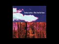 Cowboy Junkies - Hollow As a Bone