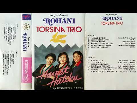 Disaat Kesesakkan ~ Torsina Trio