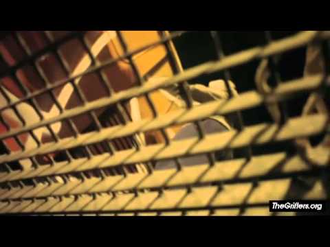 Grifters Graffiti - Unfollow the Leader - Part 1