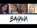 BLACKPINK BANANA SONG Vlive