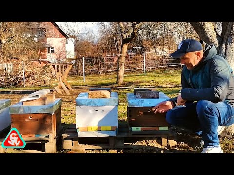 First in beekeeping in Romania!....Testing a new insulation material