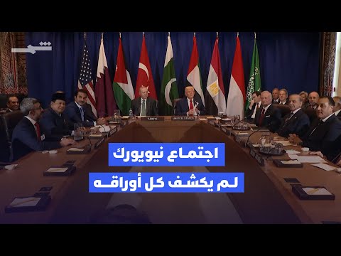 فيديو | غياب مصر والسعودية عن اجتماع نيويورك حول غزة يثير التساؤلات