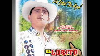 El Lobito De Sinaloa - Te Enseñe A Besar