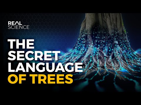 The Secret Language of Trees – BioStim