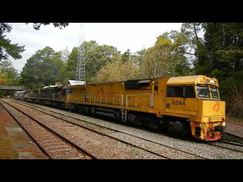 Aurizon/QR National Loaded Grain 5AQ6 climbs through Mt Lofty - 14/05/2020
